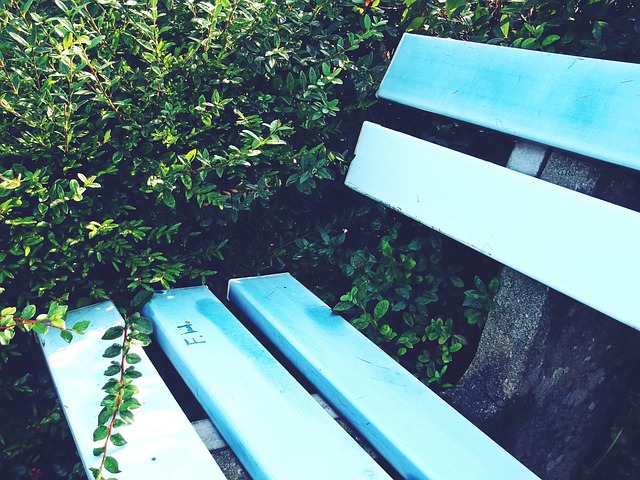 旗手宁忠岩：亚冬会是多元文化交流的平台2025-02-07.